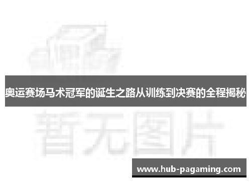奥运赛场马术冠军的诞生之路从训练到决赛的全程揭秘