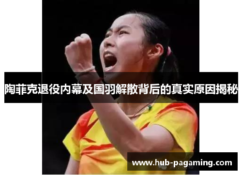 陶菲克退役内幕及国羽解散背后的真实原因揭秘 陶菲克退役内幕及国羽解散背后的真实原因揭秘
