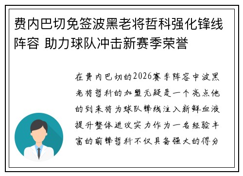 费内巴切免签波黑老将哲科强化锋线阵容 助力球队冲击新赛季荣誉